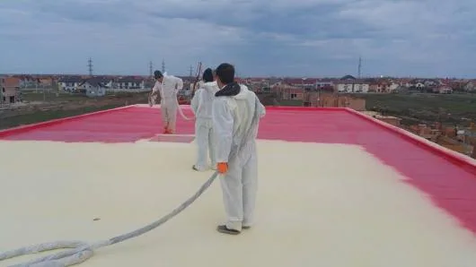 Termoizolatie cu spuma poliuretanica - Draganesti / Prahova