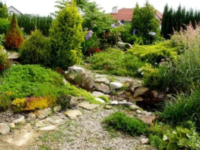 Gardenia proiectare si amenajare spatii verzi Timisoara