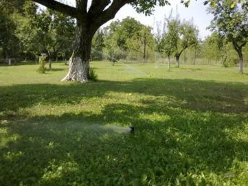 Amenajari si intretineri spatii verzi Bucuresti