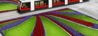 Oradea - Proiectare,amenajare - intretinere spatii verzi