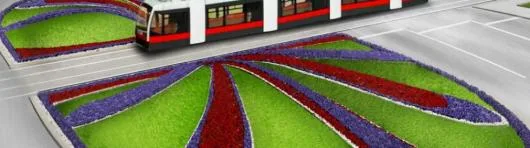 Oradea - Proiectare,amenajare - intretinere spatii verzi