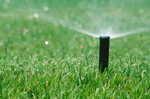 Unic Garden Amenajari gradini si spatii verzi Pitesti