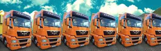 Transport intern si international de marfuri - Suceava