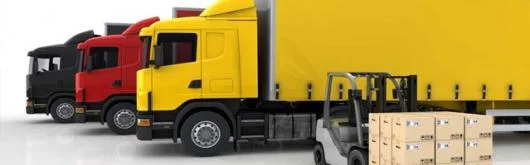 Transporturi de marfuri interne si internationale si vanzare cherestea - Toplita / Harghita
