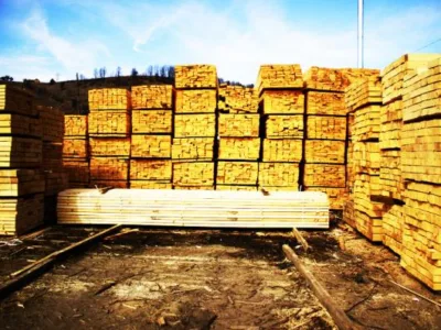 Transporturi de marfuri interne si internationale si vanzare cherestea - Toplita / Harghita