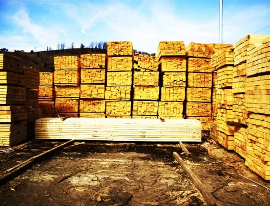 Transporturi de marfuri interne si internationale si vanzare cherestea - Toplita / Harghita