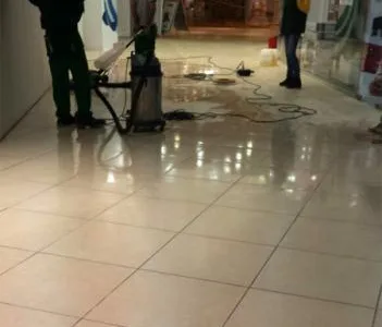 Universal Cleaning Services Constanta