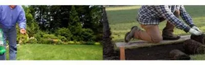 WM Best Cleaning Servicii curatenie Arad