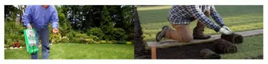 WM Best Cleaning Servicii curatenie Arad