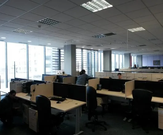 MC Malva Team Servicii curatenie Timisoara