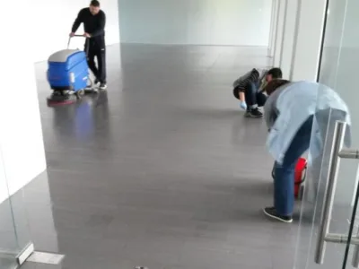 MC Malva Team Servicii curatenie Timisoara