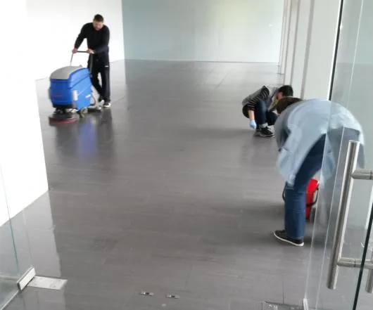 MC Malva Team Servicii curatenie Timisoara