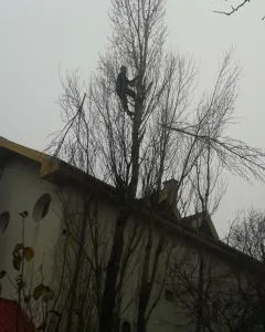 Alpinism utilitar Bucuresti