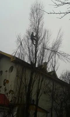 Alpinism utilitar Bucuresti