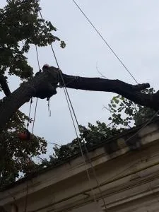 MC Alpin alpinism utilitar Galati