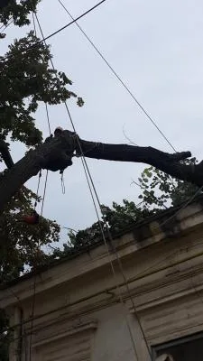 MC Alpin alpinism utilitar Galati