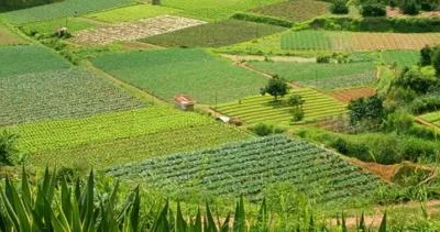 Monitorizare - analiza pentru lucrari civile si industriale Bucuresti