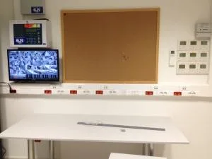 Instalatii electrice - sisteme de securitate - automatizari - Baia Mare
