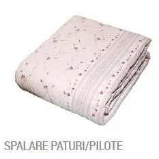 Royal Cleaning spalatorie si curatatorie covoare Bacau