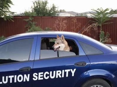 Servicii complete de securitate Bucuresti