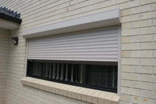 Automatizari porti - usi de garaj - casa inteligenta - Botosani