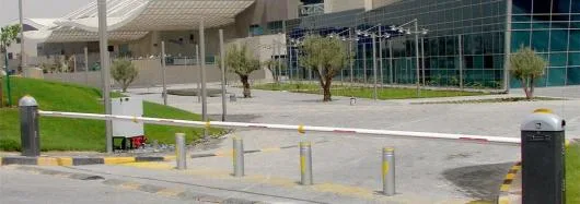 Automatizari porti - usi de garaj - casa inteligenta - Botosani