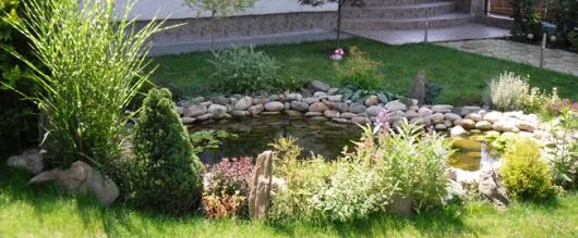 Pitesti - Amenajare si intretinere gradini