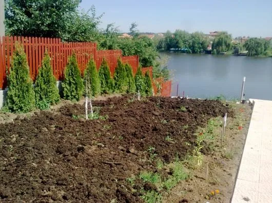 Bucuresti - Ingrijire gradini - irigatii - drenaje