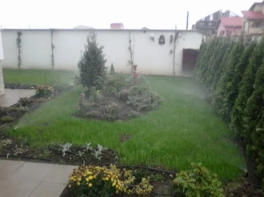 Bucuresti - Ingrijire gradini - irigatii - drenaje