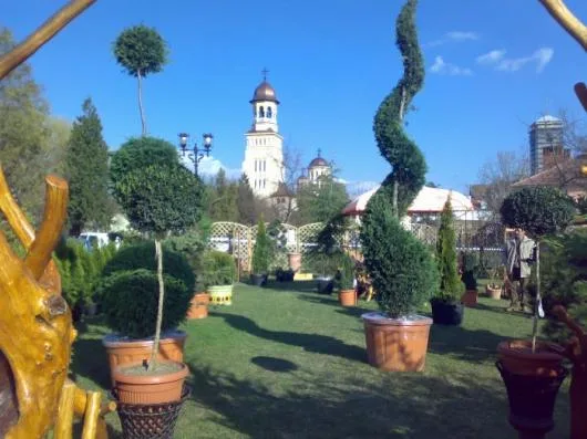 Cluj Napoca - Servicii de gradinarit