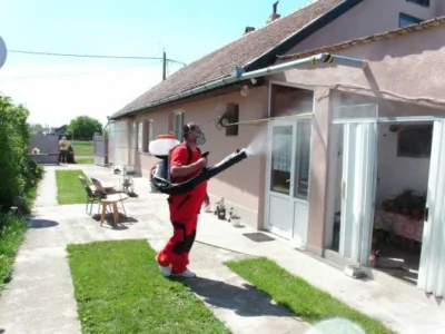 Dezinfectie - deratizare Timisoara