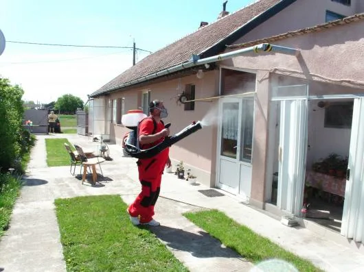 Dezinfectie - deratizare Timisoara