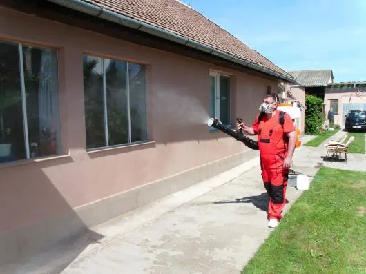 Dezinfectie - deratizare Timisoara