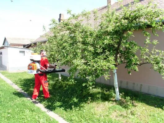 Dezinfectie - deratizare Timisoara