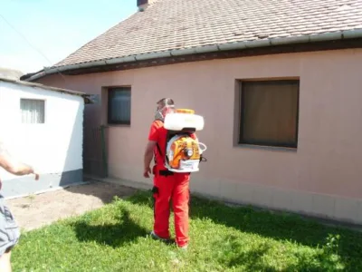 Dezinfectie - deratizare Timisoara