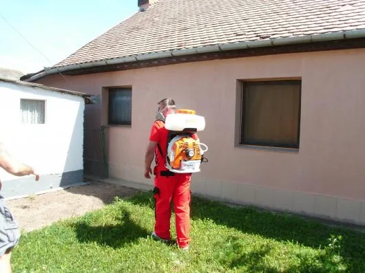 Dezinfectie - deratizare Timisoara