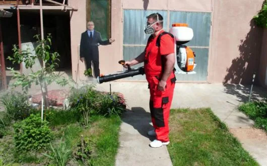 Dezinfectie - deratizare Timisoara