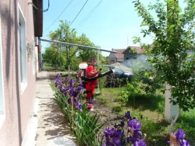 Dezinfectie - deratizare Timisoara