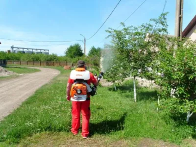 Dezinfectie - deratizare Timisoara