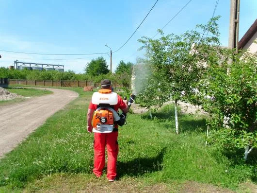 Dezinfectie - deratizare Timisoara