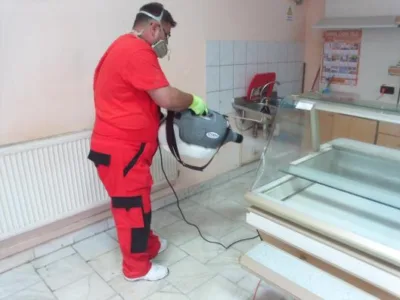 Dezinfectie - deratizare Timisoara