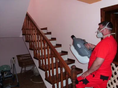 Dezinfectie - deratizare Timisoara