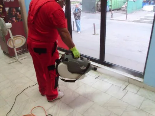 Dezinfectie - deratizare Timisoara