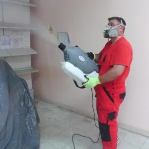 Dezinfectie - deratizare Timisoara