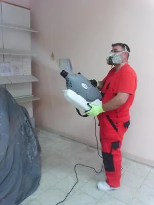 Dezinfectie - deratizare Timisoara