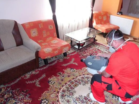 Dezinfectie - deratizare Timisoara