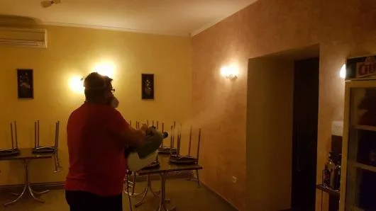 Dezinfectie - deratizare Timisoara