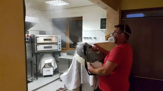 Dezinfectie - deratizare Timisoara