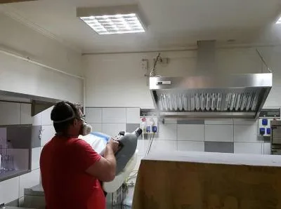 Dezinfectie - deratizare Timisoara