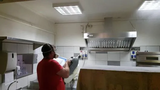 Dezinfectie - deratizare Timisoara